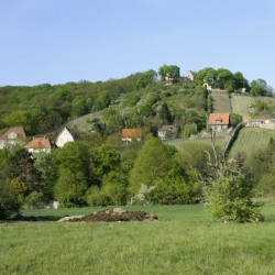 Radebeul Weinberge Wanderweg